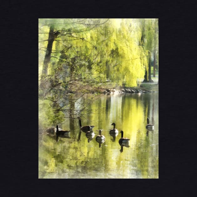 Geese - Geese by Willow by SusanSavad